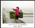 大泽镇“劳动者风采”摄影比赛获奖作品欣赏(12)_在线影展的作品