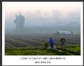 大泽镇“劳动者风采”摄影比赛获奖作品欣赏(37)_在线影展的作品