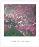 黎瑞龙“江南春语”摄影作品欣赏(9)_在线影展的作品