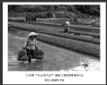 大泽镇“劳动者风采”摄影比赛获奖作品欣赏(3)_在线影展的作品
