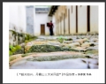 “韶关始兴、丹霞山三天采风团”摄影作品欣赏(46)_在线影展的作品