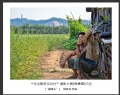 “寻找最美茶坑村”摄影大赛获奖作品欣赏(4)_在线影展的作品