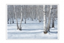 李毅仁《初冬的呼伦贝尔》摄影作品欣赏(11)_在线影展的作品