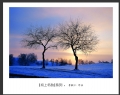 李毅仁“坝上冬韵”摄影作品欣赏(10)_在线影展的作品