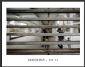 张斌“香港印象”摄影作品欣赏(10)_在线影展的作品