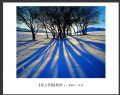 李毅仁“坝上冬韵”摄影作品欣赏(11)_在线影展的作品