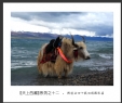天上西藏--陈创业40载回顾摄影展(12)_在线影展的作品