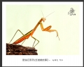 赵国炎“昆虫记系列之[螳螂故事]”微距摄影作品欣赏(8)_在线影展的作品