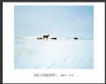 李毅仁“坝上冬韵”摄影作品欣赏(13)_在线影展的作品