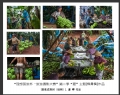 “理想国旅杯―旅游摄影大赛”第二季比赛获奖作品欣赏(14)_在线影展的作品