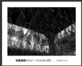 冯耀华“初探西贡”摄影作品欣赏(20)_在线影展的作品