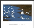 夏章烈“银湖湾候鸟”系列摄影作品欣赏(8)_在线影展的作品