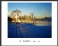 李毅仁“坝上冬韵”摄影作品欣赏(16)_在线影展的作品