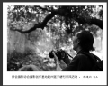 新会摄影协会摄影创作基地睦州莲子塘村采风活动作品欣赏(1)_在线影展的作品