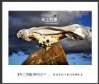 天上西藏--陈创业40载回顾摄影展