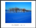 李毅仁“坝上冬韵”摄影作品欣赏(22)_在线影展的作品