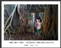 广东省摄影家协会“摄影大篷车下基层”（新会睦洲站）摄影比赛获奖作品欣赏(23)_在线影展的作品