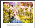 “春游百万葵园”摄影作品欣赏(57)_在线影展的作品