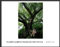 新会摄影协会摄影创作基地睦州莲子塘村采风活动作品欣赏(29)_在线影展的作品