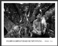 新会摄影协会摄影创作基地睦州莲子塘村采风活动作品欣赏(2)_在线影展的作品