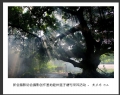 新会摄影协会摄影创作基地睦州莲子塘村采风活动作品欣赏(31)_在线影展的作品