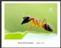 赵国炎“昆虫记”微距摄影作品欣赏(33)_在线影展的作品