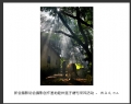 新会摄影协会摄影创作基地睦州莲子塘村采风活动作品欣赏(44)_在线影展的作品