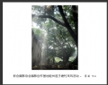 新会摄影协会摄影创作基地睦州莲子塘村采风活动作品欣赏(4)_在线影展的作品