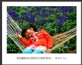 “春游百万葵园”摄影作品欣赏(5)_在线影展的作品