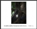 新会摄影协会摄影创作基地睦州莲子塘村采风活动作品欣赏(58)_在线影展的作品