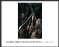 新会摄影协会摄影创作基地睦州莲子塘村采风活动作品欣赏(63)_在线影展的作品