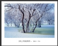 李毅仁“坝上冬韵”摄影作品欣赏(6)_在线影展的作品