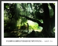 新会摄影协会摄影创作基地睦州莲子塘村采风活动作品欣赏(6)_在线影展的作品
