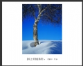 李毅仁“坝上冬韵”摄影作品欣赏(7)_在线影展的作品