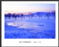 李毅仁“坝上冬韵”摄影作品欣赏(9)_在线影展的作品