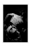 何梓雄《初识伊比利亚--舞之魂--法林明高舞者》摄影作品欣赏(1)_在线影展的作品