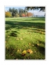 邝昭明《加拿大游记--枫叶的灿烂》摄影作品欣赏(11)_在线影展的作品