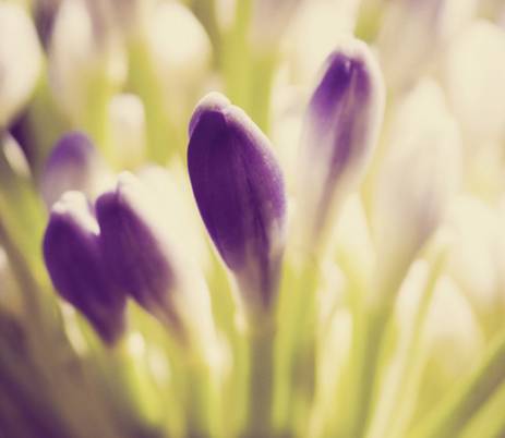 http://image1.nphoto.net/news/image/201212/e15a58965351e766.jpg