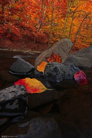 http://image1.nphoto.net/news/image/201210/ef3d5aa7f2338d2d.jpg