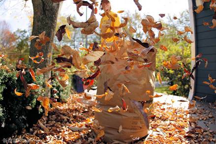 http://image1.nphoto.net/news/image/201210/9a668b525695b0b3.jpg
