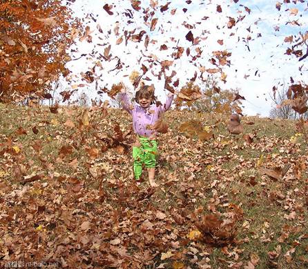 http://image1.nphoto.net/news/image/201210/71a7ab0031b26b02.jpg