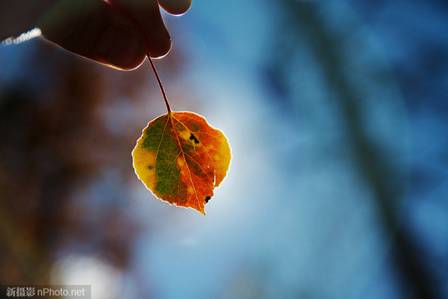 http://image1.nphoto.net/news/image/201210/1ac5961320c3e260.jpg