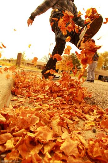 http://image1.nphoto.net/news/image/201210/56cdd35a2f892c77.jpg