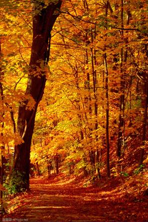 http://image1.nphoto.net/news/image/201210/99d562a0f587721a.jpg