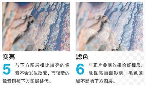 http://www.cpanet.cn/uploads/allimg/130815/5-130Q5145ZaX.jpg